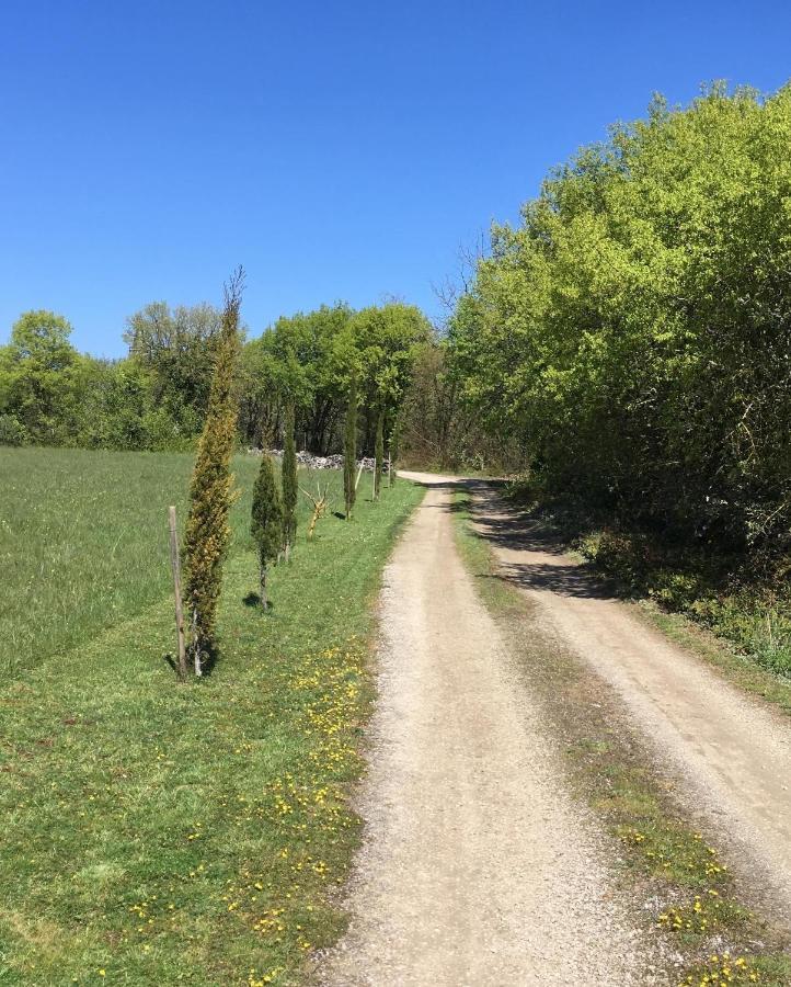 Les Gites Perard Caylus Exterior photo