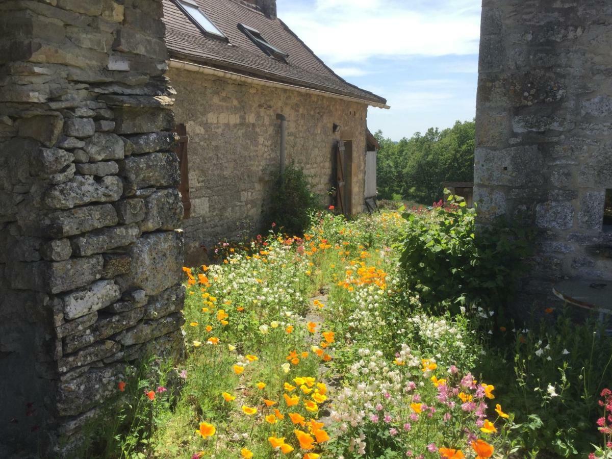Les Gites Perard Caylus Exterior photo